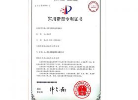 專利2